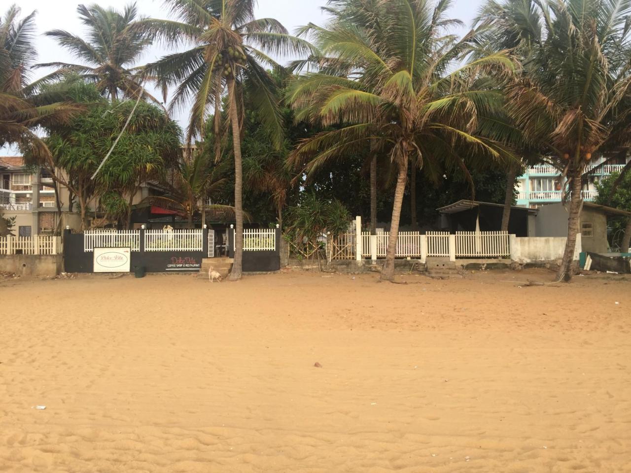 Sea Sands Beach Hostel Negombo Exterior foto